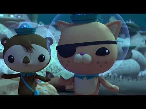 04.16 - Октонавты и операция-кооперация