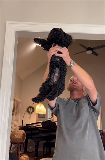 My poor little buddy. He said this DEFINITELY wasn’t on his Bingo card.. 🤦🏻‍♀️🤣🤣 #Maverick #sparehuman | Laura Beth Adair