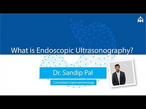 Endoscopic Ultrasonography: Procedure Explained by Dr. Sandip Pal