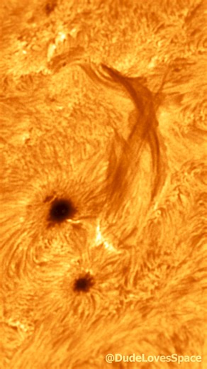 DudeLovesSpace on Instagram: "Incredible View of Sunspots & Filaments at AR4115! Captured with my Telescope #astronomy #space #sun Watch an amazing filament erupt at the Active Region 4115 and getting pulled back into the Sun’s surface! captured with my solar telescope setup from my backyard! This time-lapse reveals mesmerizing solar activity through a special filter, the Daystar Quark Chromosphere, bringing you views of solar flares and chromospheric features in exquisite clarity. Perfect for a