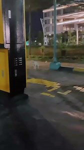 232K views · 10K reactions | Who said meow? 樂 | 혾홖황황홚.홚홭홚 | Facebook