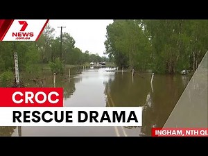 Melbourne family rescued from croc-infested floodwaters | 7NEWS