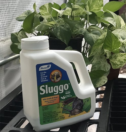 Watch Nursery Grower Review - Sluggo Snail & Slug Bait on Amazon Live