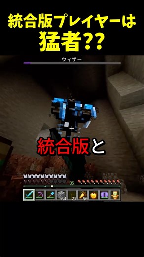 統合版とJava版の違い #マイクラ #マインクラフト #るりふり