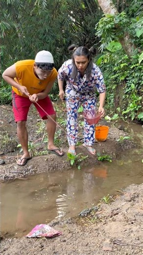 Catfish that guards the river #gandol