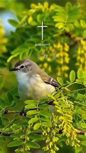 Embracing the Love of Jesus