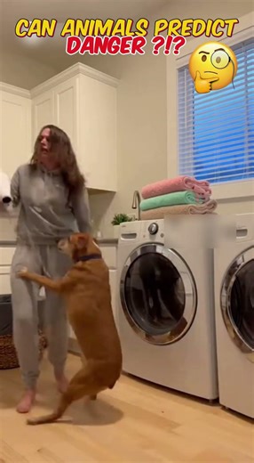 Pet's Kindness Can Appear Anywhere ❤️