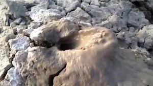 Watch mud volcanoes and mud pots burp and bubble near the Salton Sea in this video from Denise Goolsby! | Desert Sun