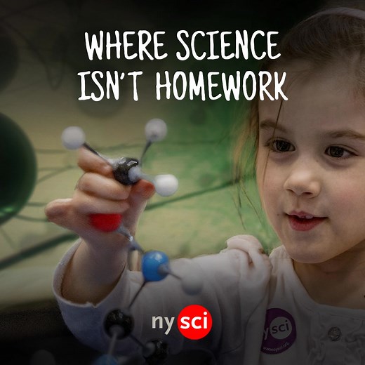 At The New York Hall of Science in Queens, learning comes to life through interactive exhibits that make science an unforgettable adventure. Bring your kids today and watch them light up with excitement! | New York Hall of Science