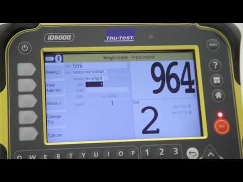 Tru-Test ID5000 Scale Indicator