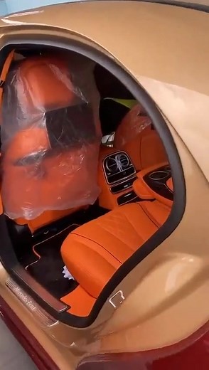 Onlypolymath on TikTok