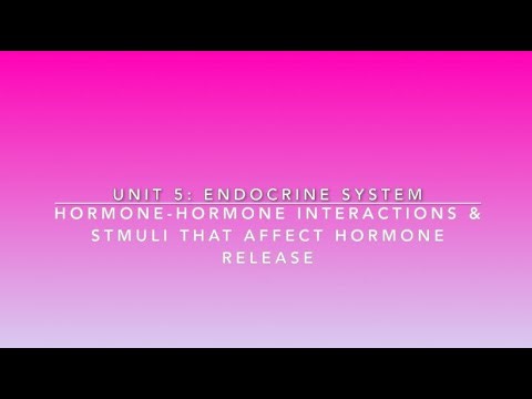 Hormone-Hormone Interactions and Factors that Regulate Hormone Release | Lime the Tutor | Premed A&P