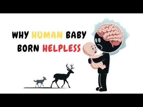Evolution's Secret: Why We're Born So Helpless!
