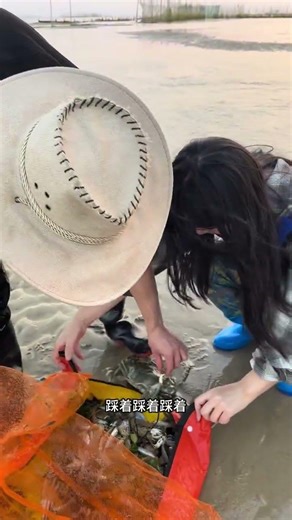 English Title: Beachcombing Blues: Did You Pick the Wrong Spot