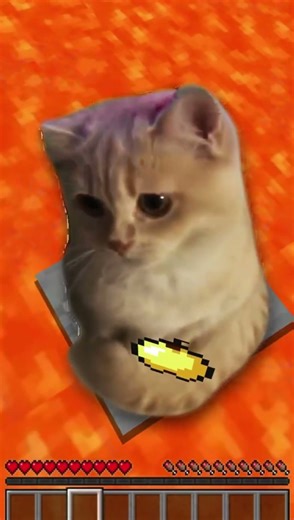Who can save my cat? It fell into lava!!!