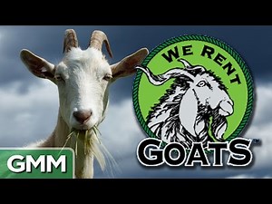 6 Weird but Real Companies