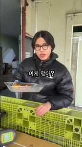 귤을 에어프라이어에 돌리면 맛이 있을까? #귤 #꿀팁