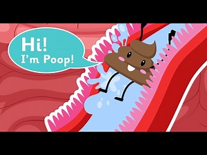 Biology - What's In Our Digestive System