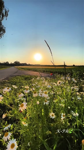 The Most Beautiful Melody of Spring