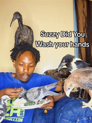 I Thought Suzzy Washed his Hands. #nairobibirdman #viral #bird #fyp #tiktokkenya