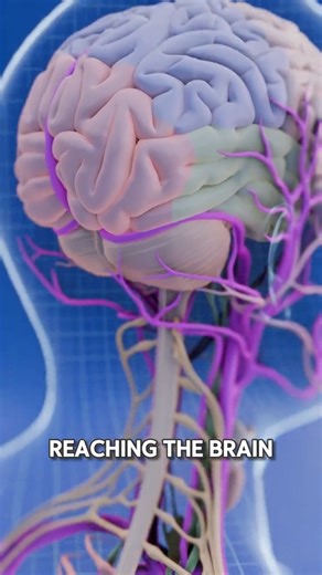 😳 Ever Wondered Why Cutting Your Hand Doesn’t Kill You Instantly?!