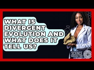 What Is Divergent Evolution And What Does It Tell Us? - Science Through Time