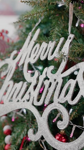  Santa Cruise on the Manchester Ship Canal – A Magical Holiday...