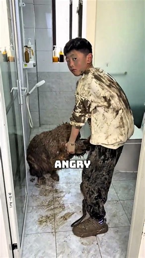 BOY Gives His Dog a Bath Today
