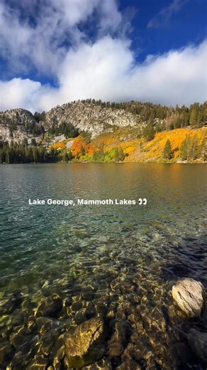 Lake George in Mammoth Lakes on 9-29-25. Fall colors are here! Make sure to sign up for the newsletter for up to date info on locations and peak timing: https://www.visitmammoth.com/blogs/find-fall-colors/ #visitmammoth #autumnaesthetic #californiafallcolors #fallcolors #mammothlakes | Visit Mammoth