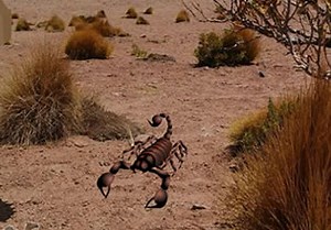 Ship Of Desert Thirsty Escape - Escape Fan