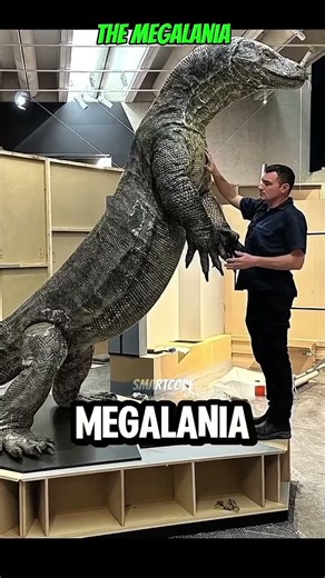 Top 5 Giant Animals That Went Extinct 🌍🦖🐍#shorts