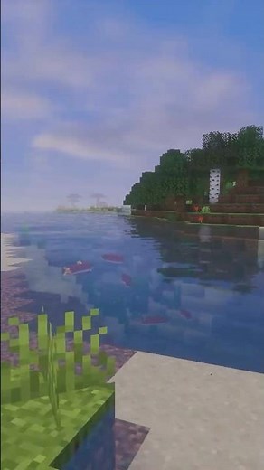 【Minecraft】水がきれいなリアル調のシェーダー『Mellow』【Shader紹介】#shorts #MOD #shaders #影MOD