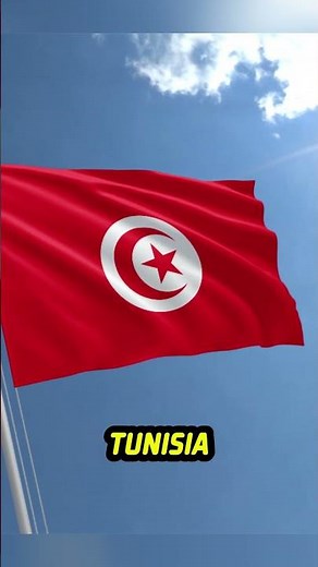 Top 10 Flags with Moon and Stars #shorts