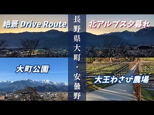”大町公園からの北アルプス夕暮れ絶景＆安曇野大王わさび農場” 長野県絶景DRIVE ROUTE