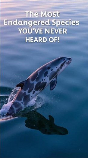 Meet the Rarest Animals on Earth!