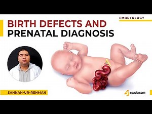 Birth Defects and Prenatal Diagnosis | Introduction