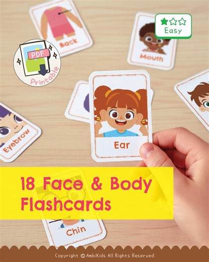Face & Body Flash Cards｜learn Human Body for Kids and Adults | Printable Digital (PDF) - Etsy