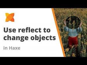 How to use the reflect API to change objects in Haxe