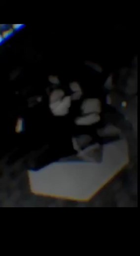 Rosie Song Lyrics with a Touch of Nostalgia | Good Vibes and New Caledonia 🇳🇨🌴