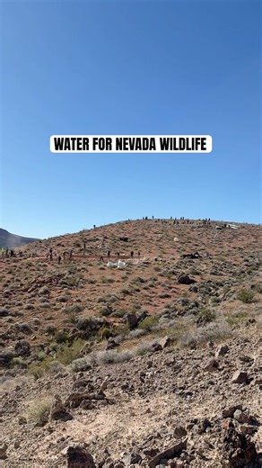 Putting Conservation on the Ground