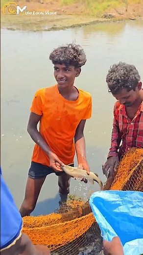 Pond-caught fish at ₹150/kg | Erragendi fish & Pandugappa fish || Pandugappa || 🐟🐟🐟