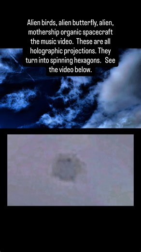 Brian Ladd on Instagram: "Everything in this music video is a projection alien in nature I slowed down for you on the bottom. These are alien, birds and more. Everything turns into spinning, hexagons watch below I will show you. You’re going to see a UFO several very large alien, motherships, organic spacecraft, a simulated sun and more. #alien birds.#Atlantic ocean aliens #alien butterfly#butterfly My wife and I document UFO and alien activity in St. Lucie county Florida. We have been doing thi