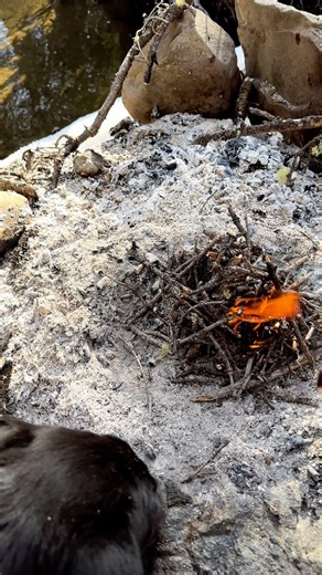 2.4K views · 223 reactions | Using fire starter to start a fire #firestarters #firestarter #campfire | Nature Daddy | Facebook