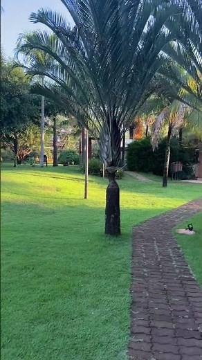 Hotel Jp Ribeirão Preto São Paulo.