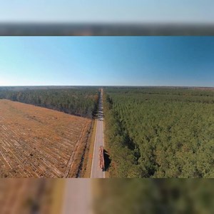 Ready to transform your operations with a customized asset tracking solution? Learn how Worthwhile is using Particle to bring the Internet of Things to forestry asset tracking. | Particle