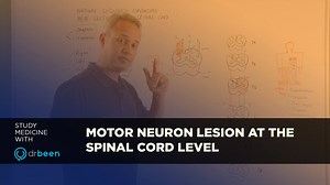 Dr. Mobeen discusses the lesion of the motor neurons at the spinal cord level. If you want a better understanding of motor neuron lesions at the spinal cord level and other subjects join Drbeen today! | Drbeen