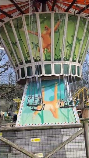 Jungle Swing Ride At West Midlands Safari Park