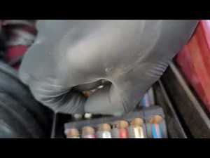 HOW TO FIX ASR ABS BAS SIMPLE Fault Repair Mercedes SL 300 320 500 400 #subscribe