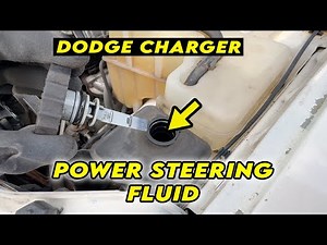 Dodge Charger : Power Steering Fluid Location