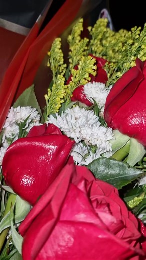 Mariachi Patrón de la Fría: Entrega Musical en Táchira